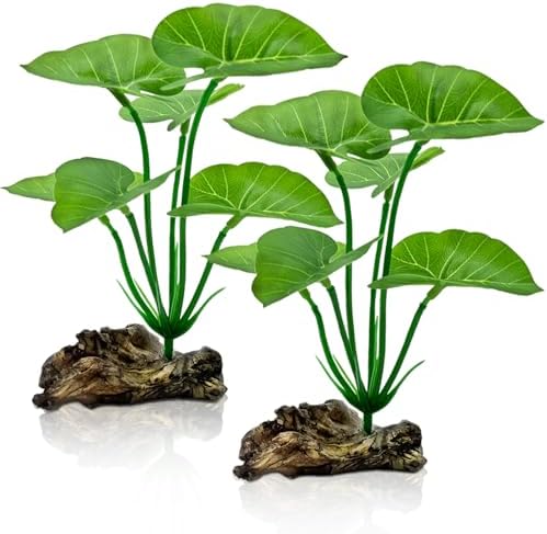 UreverFins 6-inch betta fish tank decorations showing the weighted driftwood base closeup.