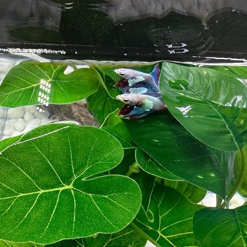 Smoothedo-Pets small tank reptile plant aquarium decoration side profile