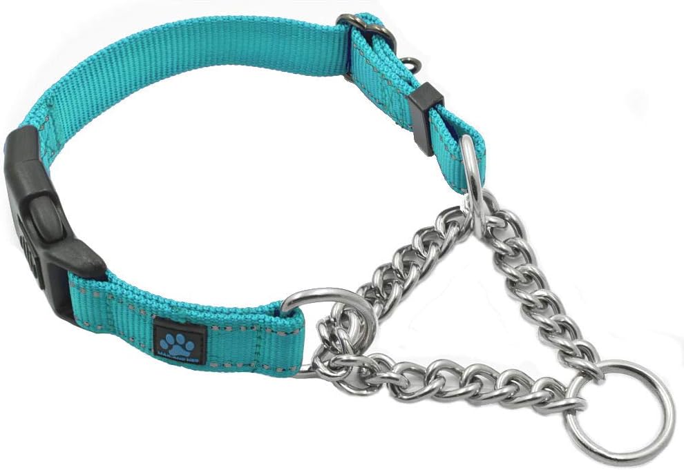 Max and Neo stainless steel martingale dog collar front view in teal