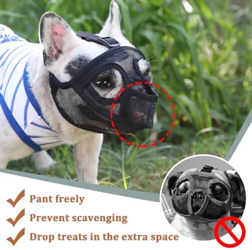 Adjustable buckle strap of Mayerzon short snout dog muzzle