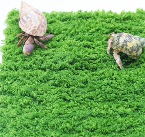 Hermit Crab Climbing Wall, 6 Inch Adjustable Hermit Crab Supplies for Hermit Crab Tank - Image 4