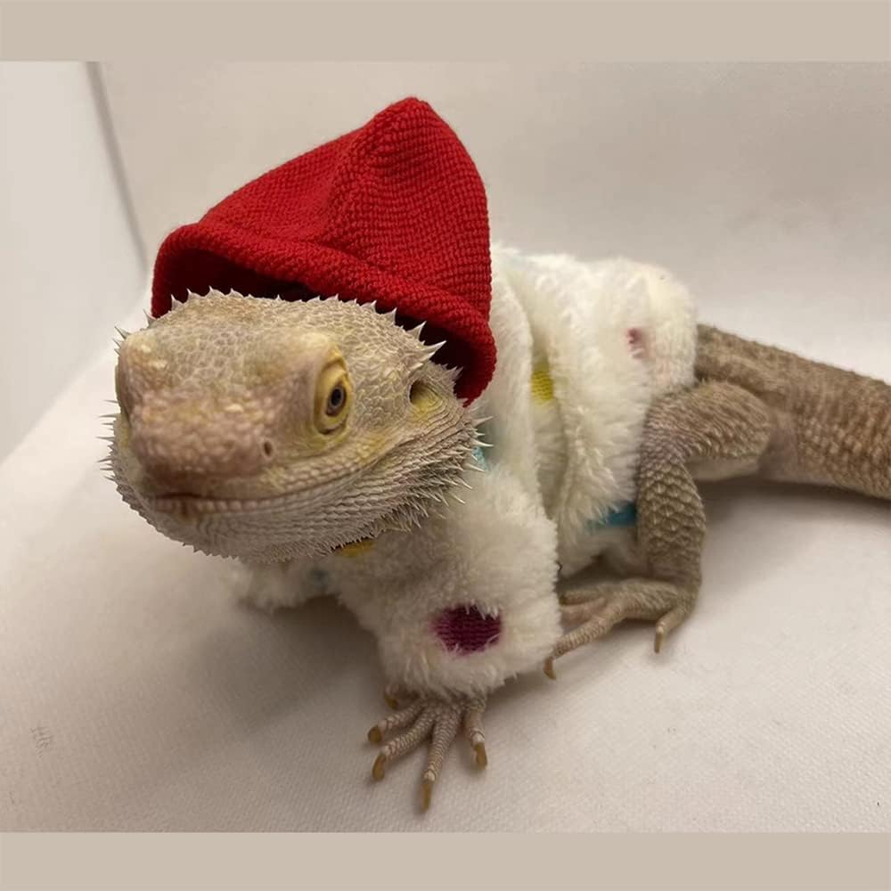 KUNBIUH bearded dragon sweater featuring back velcro closure detail