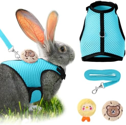 Small rabbit wearing light blue breathable mesh vest harness