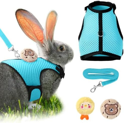 Small rabbit wearing light blue breathable mesh vest harness