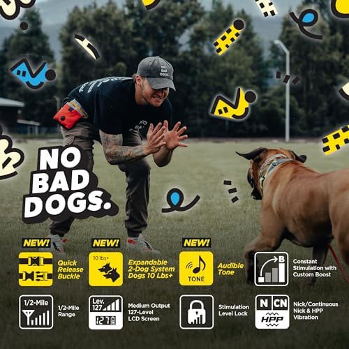 Dogtra Tom Davis edition electronic collar accessories, charger, and packaging contents.