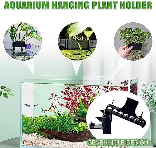 Aidmi aquascape decorations plant cup set up above the waterline