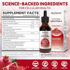 Natisland Urolithin A liquid drops outer packaging and label details