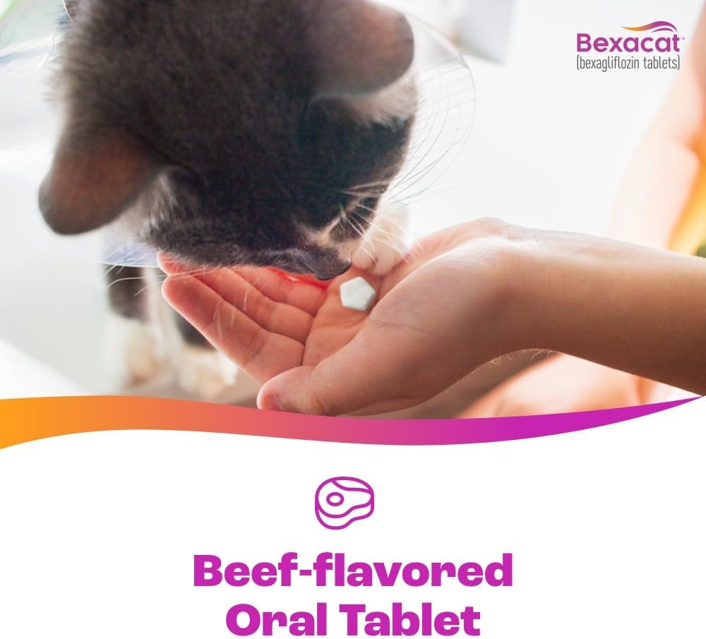 Bexacat 15mg tablet bottle cap and seal