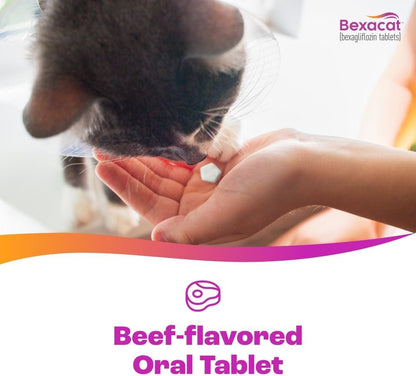 Bexacat 15mg tablet bottle cap and seal