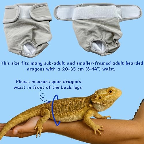 Bearded dragon travel carrier essentials and cleaning mat