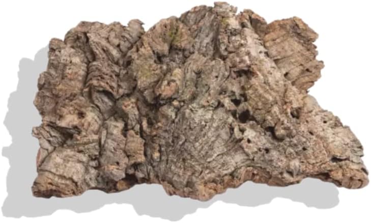 Assorted virgin cork bark pieces for reptile habitats