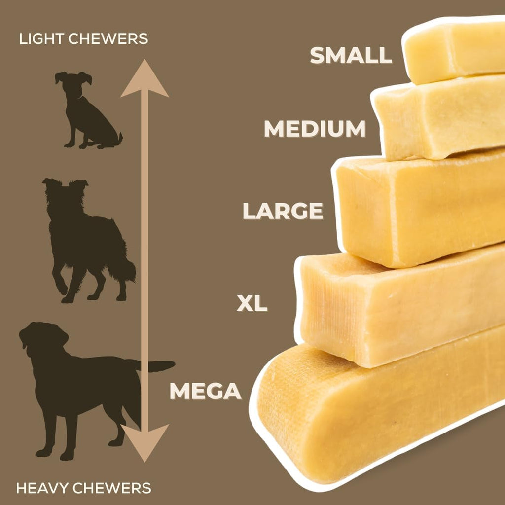 Giant dog holding Bully Bunches mega yak cheese chew