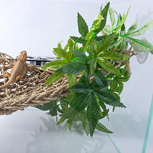 SLSON small size terrarium plant for hermit crab tanks