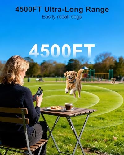 Smart remote control display for dog training