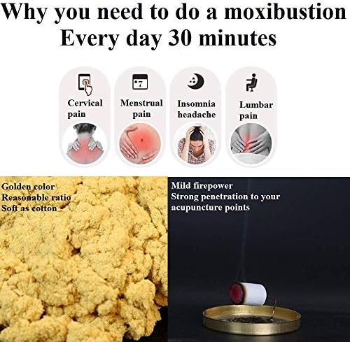 Premium pure moxa rolls 54 count box for professional wellness therapy.
