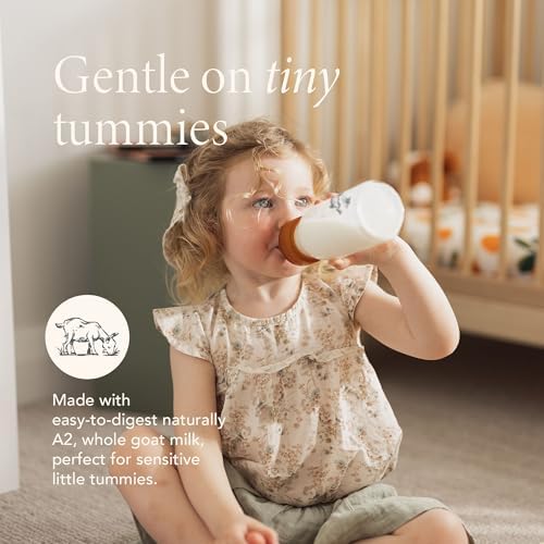 Haven organic goat milk toddler formula displaying the non-GMO and A2 protein labels.