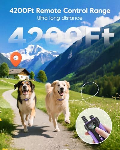 Slopehill waterproof e-collar receiver attached to the purple nylon strap.