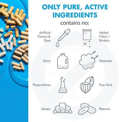 Metabolic Maintenance Berberine and Chromium vegetarian capsules for glucose transport and insulin sensitivity management