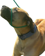 Close up of figure-eight design on headcollar