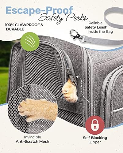 Close up shot of the interior safety leash mechanism inside the BriskTails airline approved carrier.
