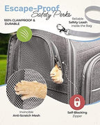 Close up shot of the interior safety leash mechanism inside the BriskTails airline approved carrier.