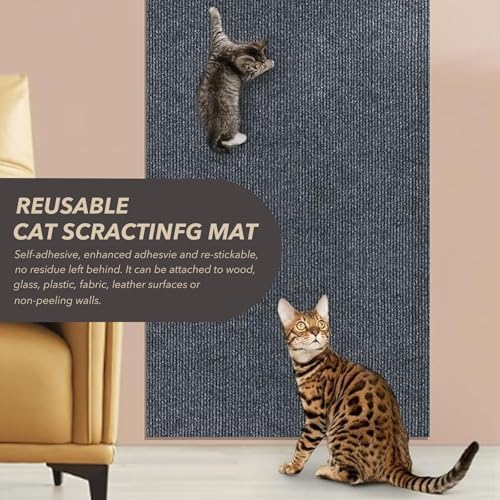 Generic cat scratch protector roll showing the easy to peel sticky backing layer before installation.
