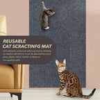 Generic cat scratch protector roll showing the easy to peel sticky backing layer before installation.