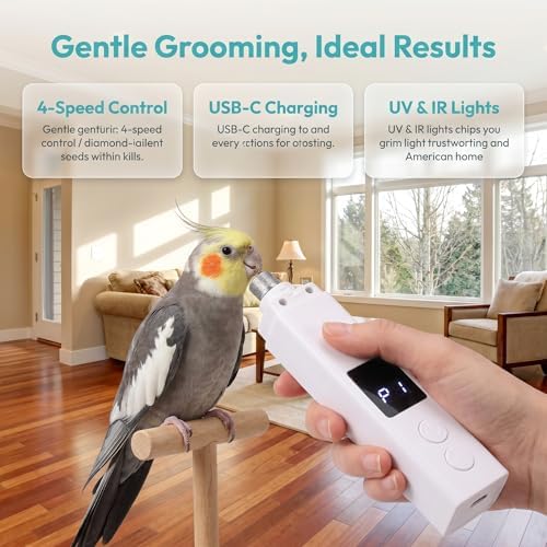 Low noise electric pet nail file being used on a small dog paw
