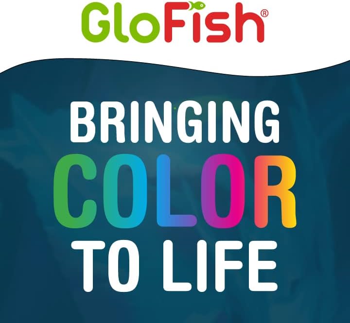 Substrate level view of Glofish gravel in a glass aquarium