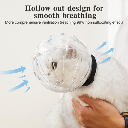 Cat wearing protective anti-bite face mask for vet visit