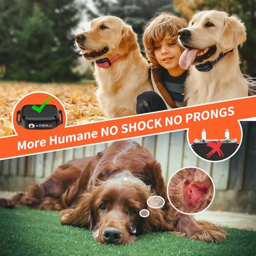 PaiPaitek humane pet collar showing the remote controller with an adjustable level backlit display.