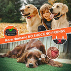PaiPaitek humane pet collar showing the remote controller with an adjustable level backlit display.