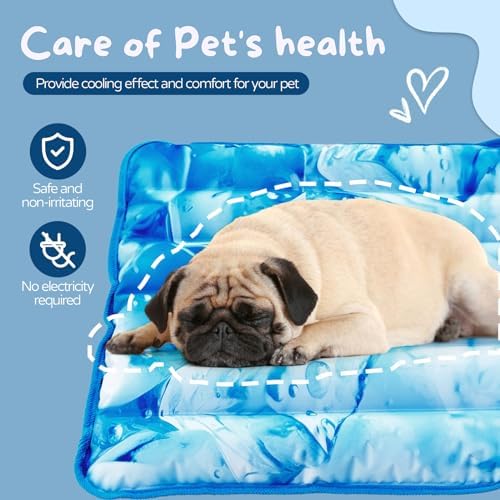 Bichon Frise puppy resting comfortably on the authentic imported pet cooling pad.