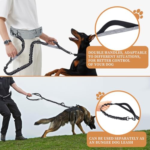 Pet training traffic control handle on a dual handle hands free leash.