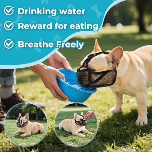 Buckle closure detail on Ohcozzy flat face dog muzzle