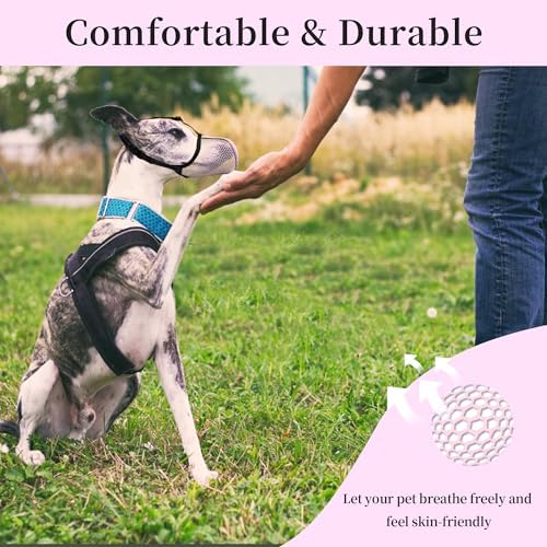 Joypaws small dog muzzle with reflective strap detail