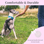 Joypaws small dog muzzle with reflective strap detail