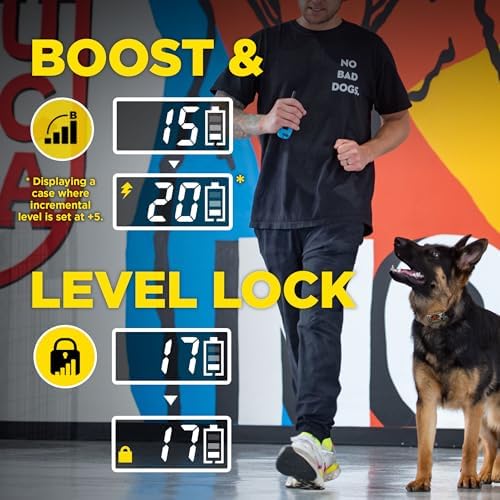 Dogtra remote training collar setup showing the safety level lock and boost button controls.
