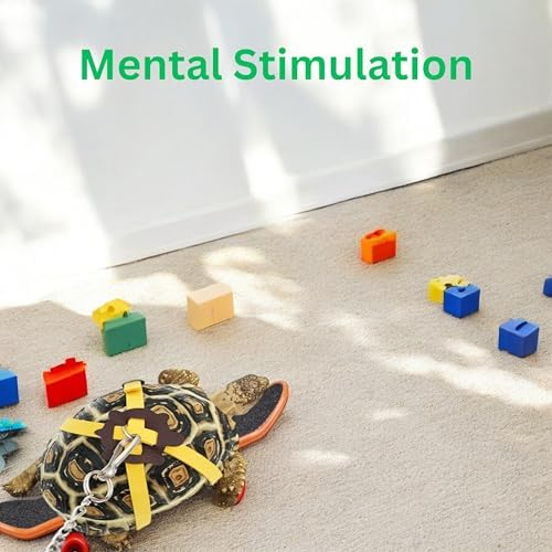 Keersi authentic USA imported pet tortoise toy set featuring the training skateboard alongside the black adjustable leash.