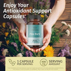 Herbamama pine bark supplement box and bottle packaging