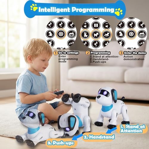 Blue Yiman electronic pet toy with infrared remote control