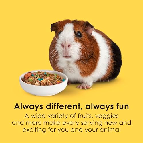 Kaytee Fiesta Guinea Pig Food pellet and seed texture close up