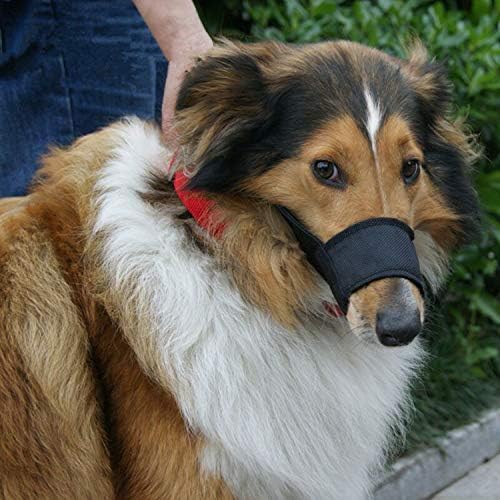 Breathable anti barking dog muzzles in multiple sizes for small and large dogs