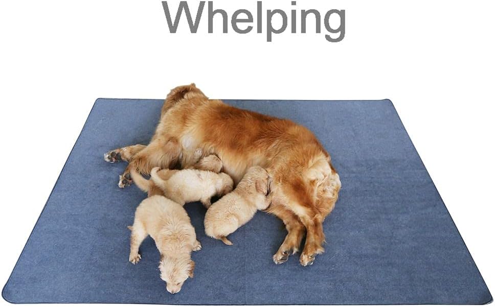 Peepeego dog pad inside a whelping box setup