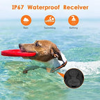 Educational diagram showing PIOUNS collar fitment on a dog