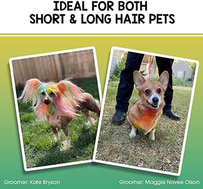 Full set of Opawz temporary pet hair coloring crayons