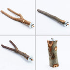 4 Pack Natural Wood Bird Perch Set for Parakeet Cage - Image 4