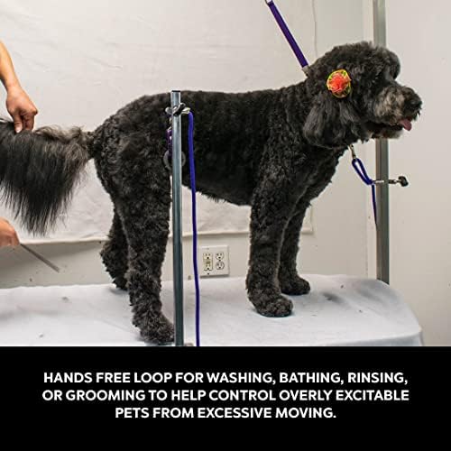 Professional dog grooming setup with purple safety loop