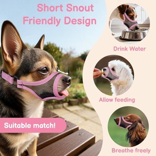 Close up of soft fabric edges on Mayerzon short-snout dog muzzle
