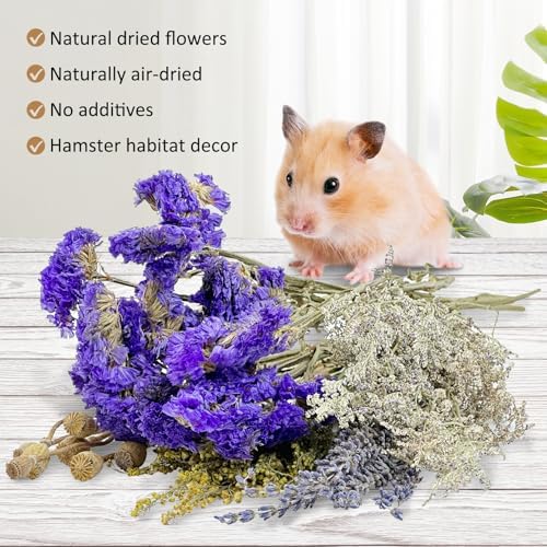 Fhiny Natural Hamster Bedding, Flower & Herb Hamster Bedding Mate Hamster Sprays Gerbil Habitat Decor Accessories for Dwarf Syrian Hamster Gerbil Mice Mouse Degus Lemming or Other Small Pets - Image 5
